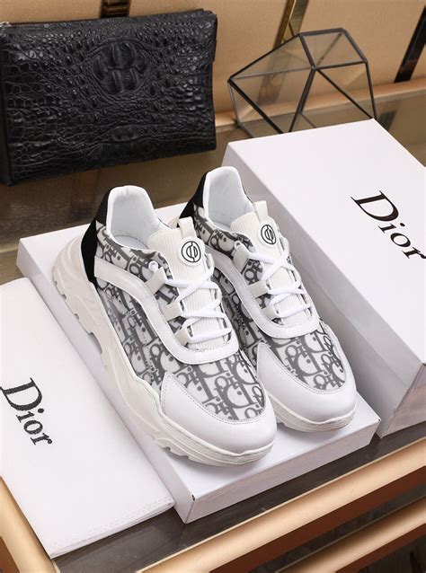 dior shoes shop online